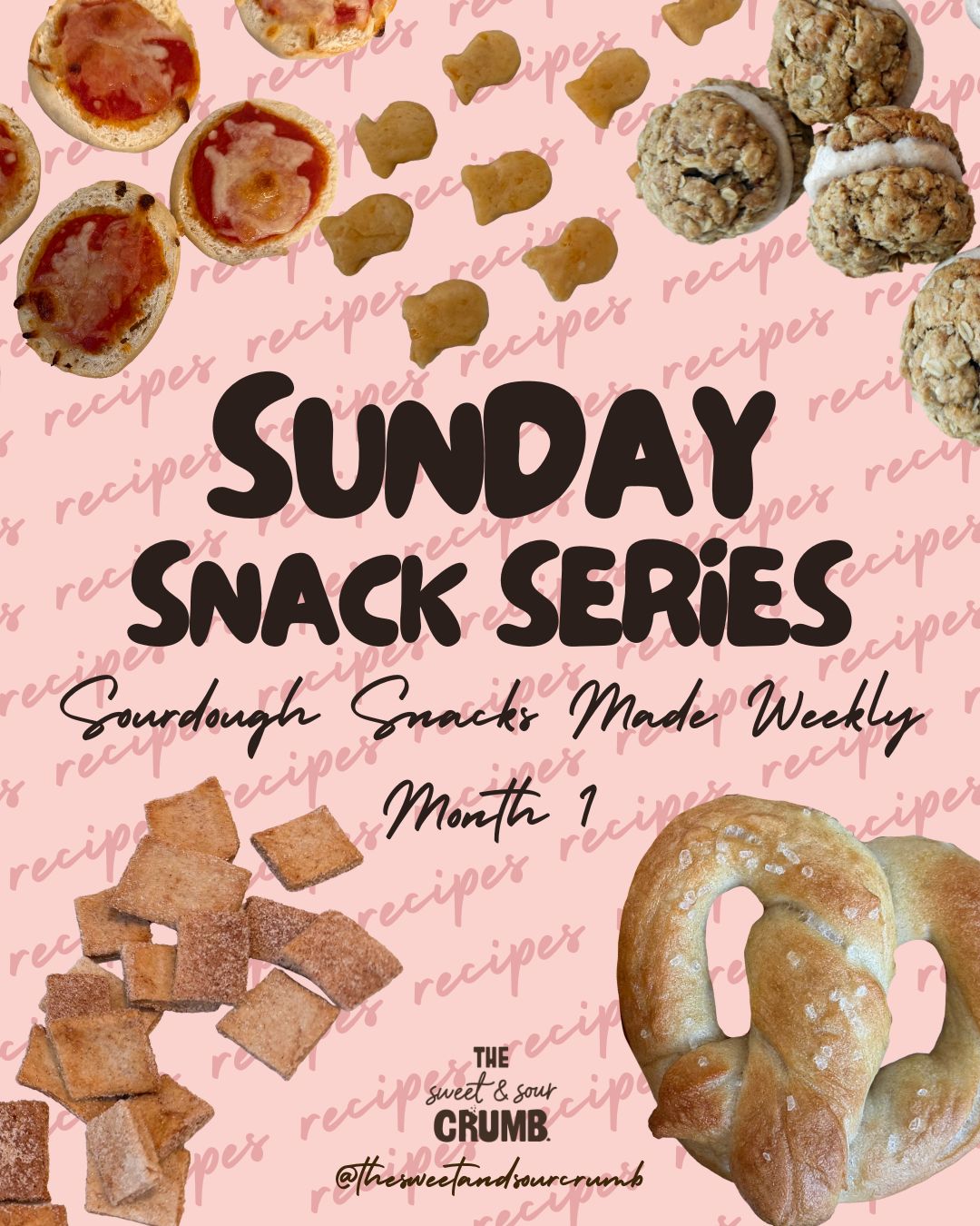 Sourdough Sunday Snack Series Month 1 Recipes